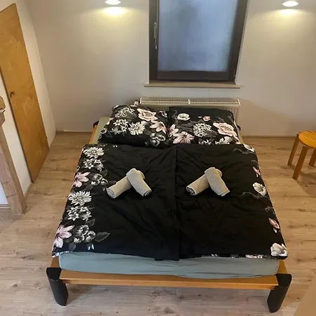 Hébergement de vacances Buergermeisterhaus Mit Berg- & Waldblick