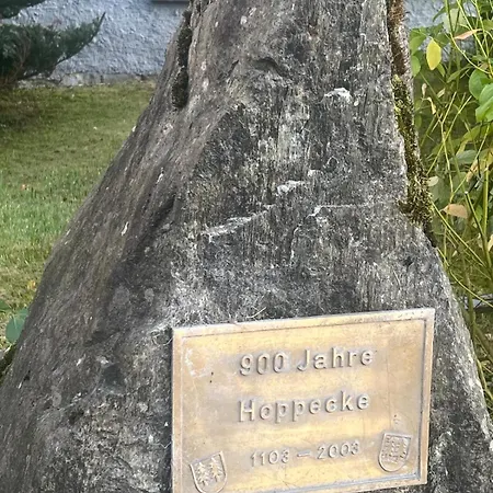 Buergermeisterhaus Mit Berg- & Waldblick