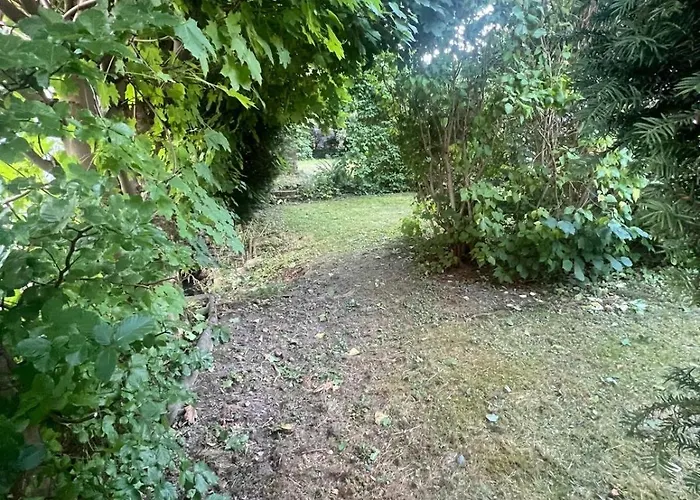 Vakantiehuis Buergermeisterhaus Mit Berg- & Waldblick Brilon