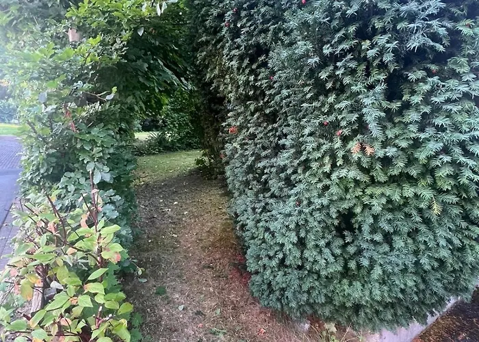 Vakantiehuis Buergermeisterhaus Mit Berg- & Waldblick *